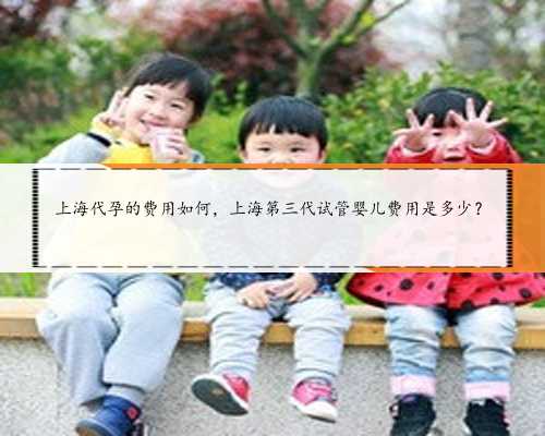 上海代孕的费用如何，上海第三代试管婴儿费用是多少？