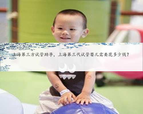 上海第三方试管助孕，上海第三代试管婴儿需要花多少钱？