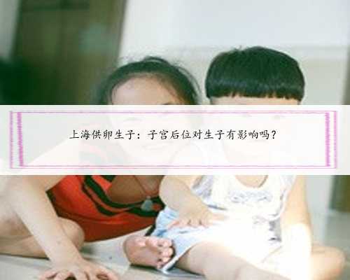 上海供卵生子：子宫后位对生子有影响吗？