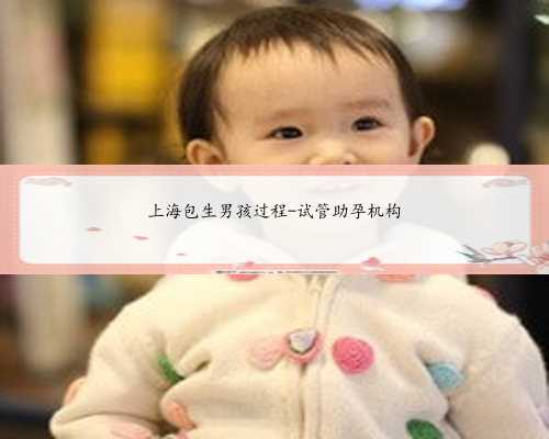 上海包生男孩过程-试管助孕机构