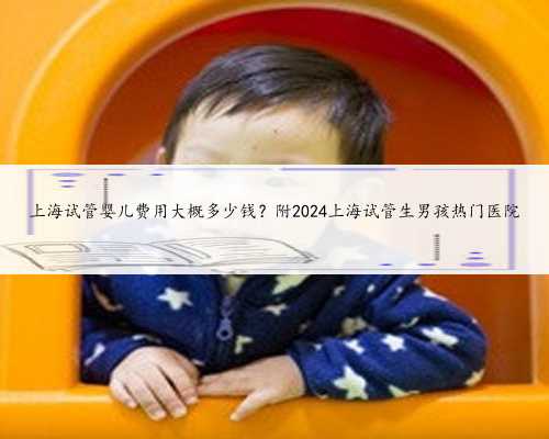 上海试管婴儿费用大概多少钱？附2024上海试管生男孩热门医院